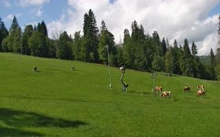 Jedrol Suche górna stacja - 02-08-2025 09:46