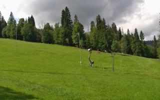 Jedrol Suche górna stacja - 02-08-2025 10:10