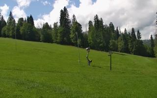 Jedrol Suche górna stacja - 02-08-2025 11:11