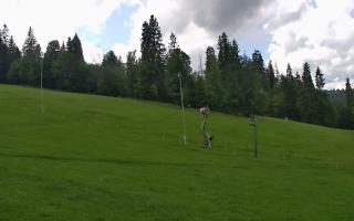 Jedrol Suche górna stacja - 02-08-2025 12:28
