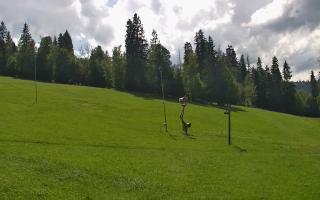 Jedrol Suche górna stacja - 02-08-2025 13:30