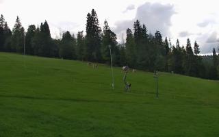 Jedrol Suche górna stacja - 02-08-2025 16:58