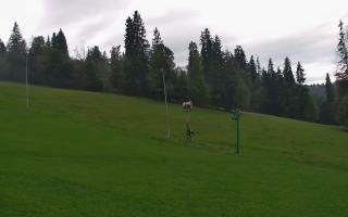 Jedrol Suche górna stacja - 16-09-2025 06:22