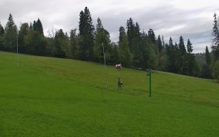 Jedrol Suche górna stacja - 16-09-2025 06:30