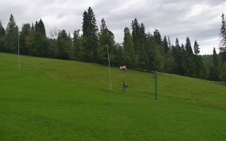 Jedrol Suche górna stacja - 16-09-2025 06:38