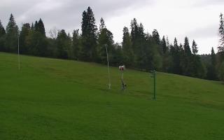 Jedrol Suche górna stacja - 16-09-2025 09:27