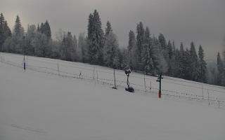 Jedrol Suche górna stacja - 01-02-2026 15:14