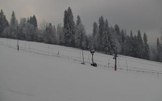 Jedrol Suche górna stacja - 01-02-2026 15:22