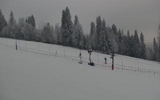 Jedrol Suche górna stacja - 01-02-2026 16:00