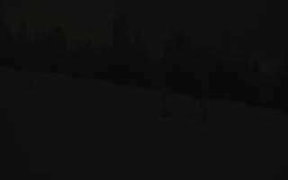 Jedrol Suche górna stacja - 02-02-2026 04:07