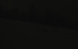 Jedrol Suche górna stacja - 02-02-2026 04:54