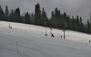 Jedrol Suche górna stacja - 21-03-2026 08:47