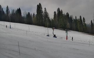 Jedrol Suche górna stacja - 21-03-2026 09:18