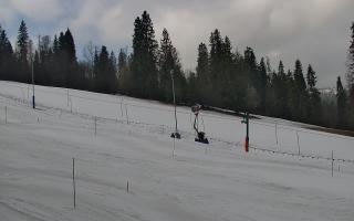 Jedrol Suche górna stacja - 21-03-2026 09:34