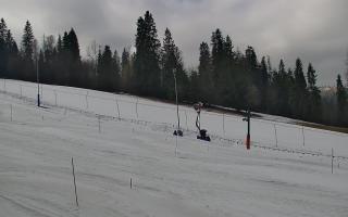 Jedrol Suche górna stacja - 21-03-2026 10:12