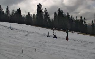 Jedrol Suche górna stacja - 21-03-2026 12:00