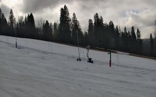 Jedrol Suche górna stacja - 21-03-2026 12:16