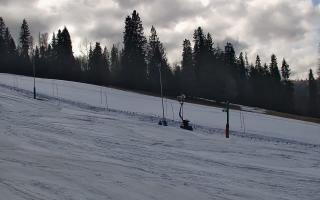 Jedrol Suche górna stacja - 21-03-2026 12:54