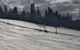 Jedrol Suche górna stacja - 21-03-2026 13:48