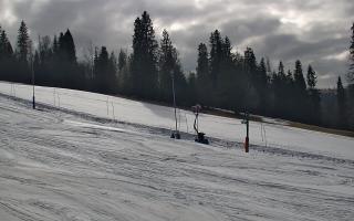 Jedrol Suche górna stacja - 21-03-2026 14:03