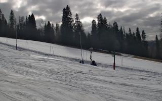 Jedrol Suche górna stacja - 21-03-2026 14:11