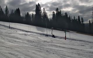 Jedrol Suche górna stacja - 21-03-2026 14:19