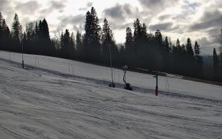 Jedrol Suche górna stacja - 21-03-2026 14:42