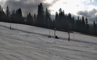 Jedrol Suche górna stacja - 21-03-2026 15:05