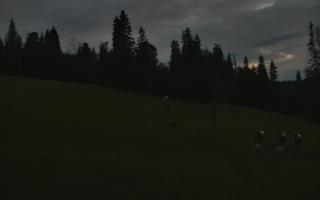 Jedrol Suche górna stacja - 12-06-2026 20:22
