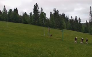 Jedrol Suche górna stacja - 13-06-2026 03:26