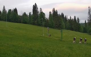 Jedrol Suche górna stacja - 13-06-2026 03:49
