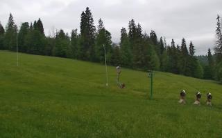 Jedrol Suche górna stacja - 13-06-2026 03:57