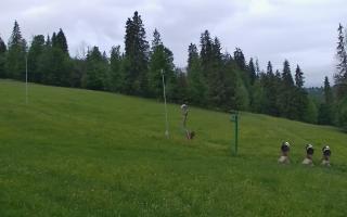 Jedrol Suche górna stacja - 13-06-2026 04:13