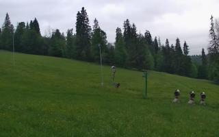 Jedrol Suche górna stacja - 13-06-2026 04:20
