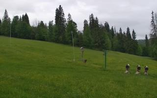 Jedrol Suche górna stacja - 13-06-2026 04:36