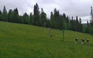 Jedrol Suche górna stacja - 13-06-2026 04:43
