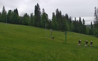 Jedrol Suche górna stacja - 13-06-2026 04:51