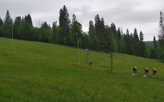 Jedrol Suche górna stacja - 13-06-2026 04:59