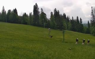 Jedrol Suche górna stacja - 17-06-2026 12:43