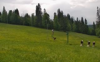 Jedrol Suche górna stacja - 17-06-2026 12:51