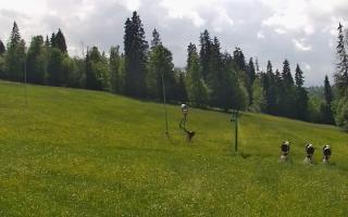 Jedrol Suche górna stacja - 17-06-2026 13:14