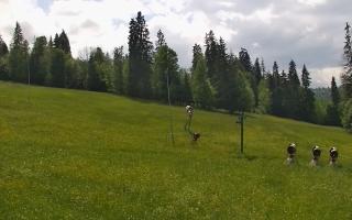Jedrol Suche górna stacja - 17-06-2026 13:29