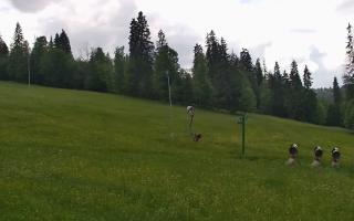 Jedrol Suche górna stacja - 17-06-2026 13:37
