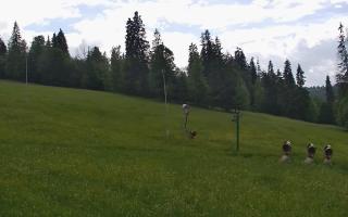 Jedrol Suche górna stacja - 17-06-2026 13:45
