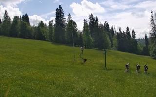 Jedrol Suche górna stacja - 17-06-2026 14:00