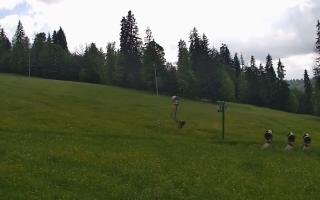 Jedrol Suche górna stacja - 17-06-2026 14:39