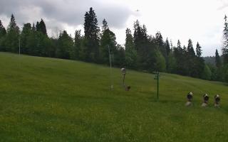 Jedrol Suche górna stacja - 17-06-2026 14:46
