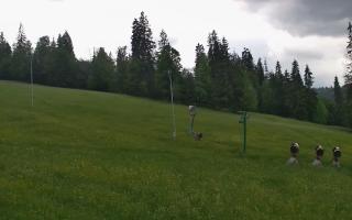Jedrol Suche górna stacja - 17-06-2026 14:54