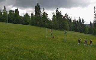 Jedrol Suche górna stacja - 17-06-2026 15:02