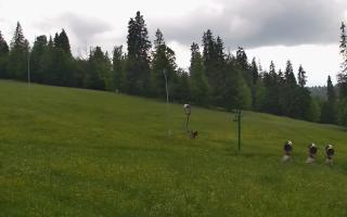 Jedrol Suche górna stacja - 17-06-2026 15:09